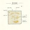 ELA BOUTIQUE |DIONE SOAP